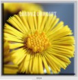 /album/photo-gallery-canvas-uri/decoratiuni-de-perete-canvas-lc-0024-jpg/